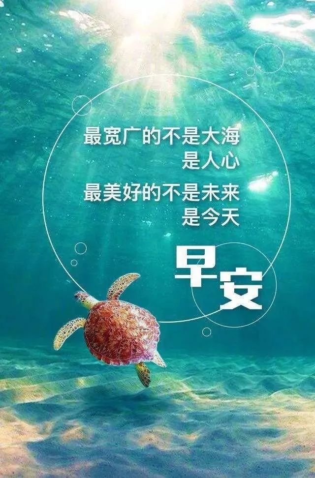 微信朋友圈早安正能量经典语句-句子橘 微信朋友圈早安正能量经典语句-句子橘