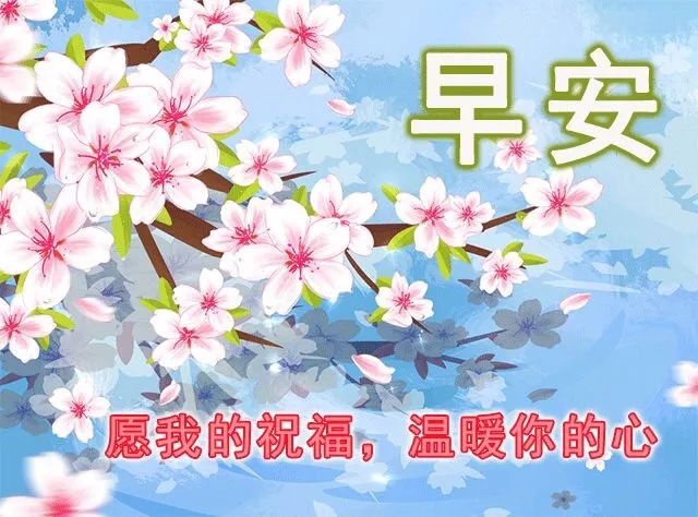 微信朋友圈早安正能量经典语句-句子橘 微信朋友圈早安正能量经典语句-句子橘