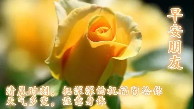 微信朋友圈早安正能量经典语句-句子橘 微信朋友圈早安正能量经典语句-句子橘
