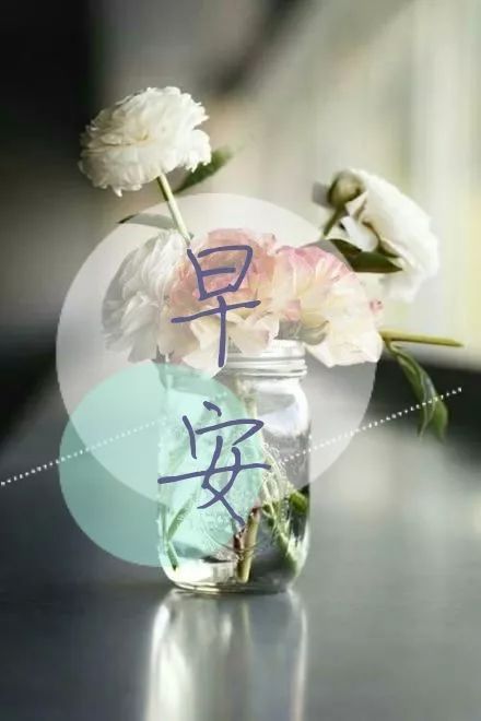 微信朋友圈早安正能量经典语句-句子橘 微信朋友圈早安正能量经典语句-句子橘