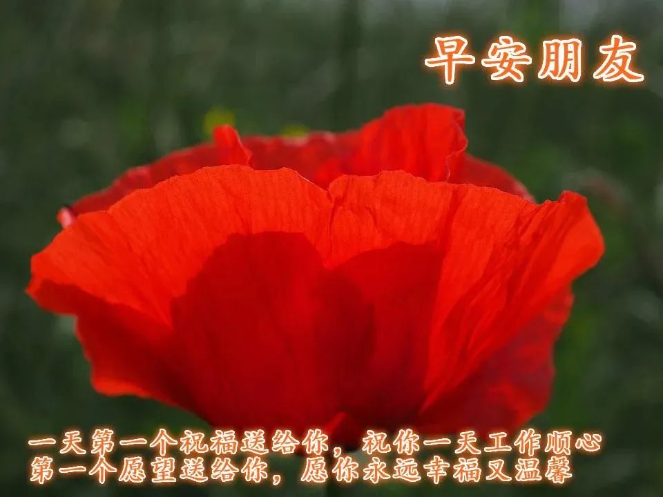 微信朋友圈早安正能量经典语句-句子橘 微信朋友圈早安正能量经典语句-句子橘