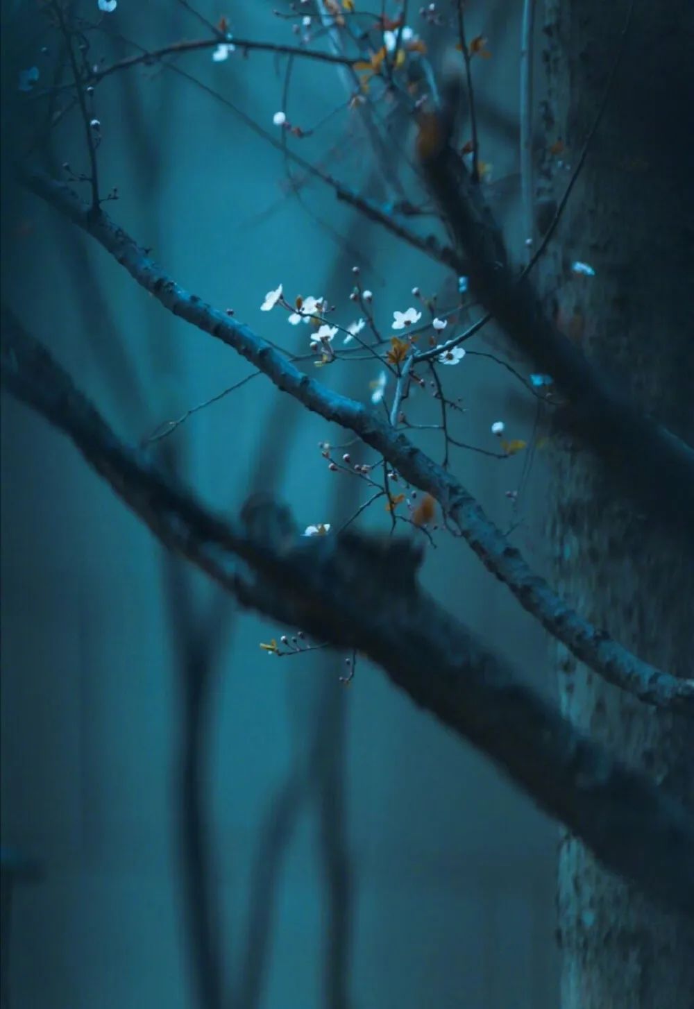 适合深夜看的人生经典句子！-句子橘
