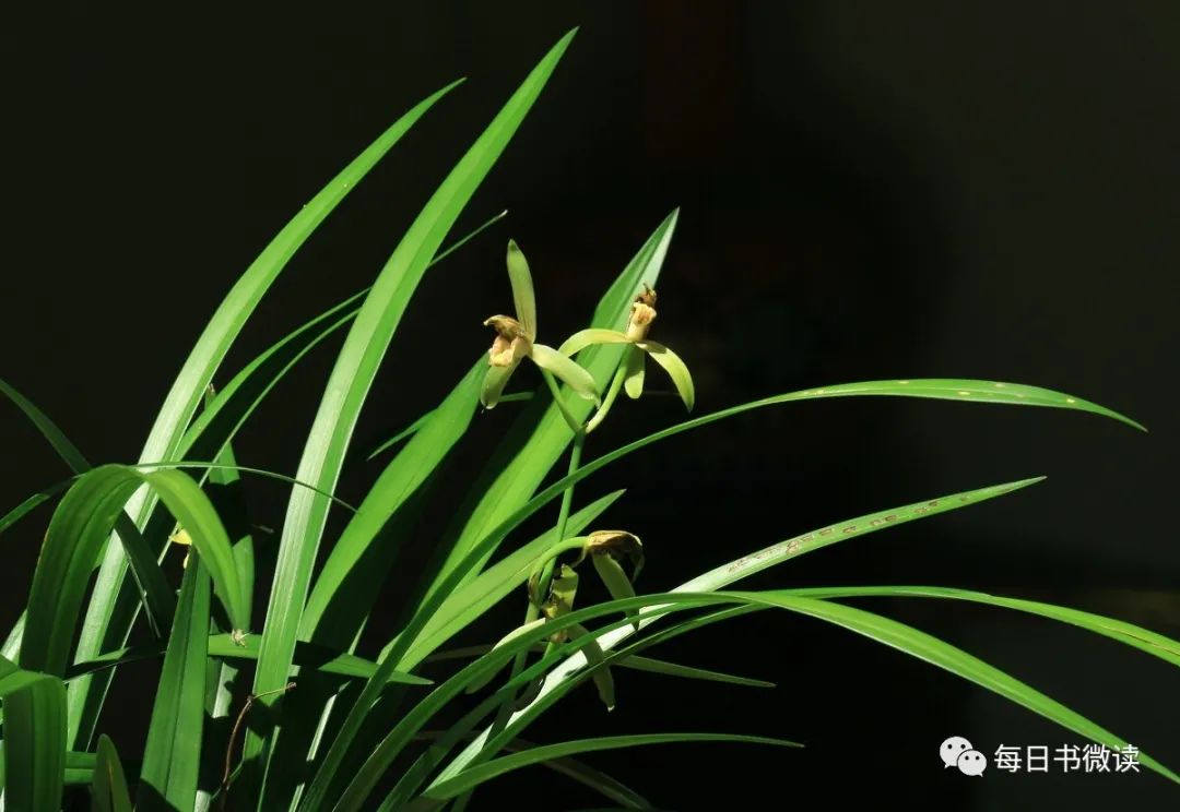 每日经典句子(第63期)-句子橘 每日经典句子(第63期)-句子橘