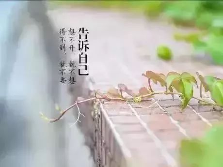 发朋友圈很潮的一句说说阳光经典句子,句句漂亮,走心-句子橘 发朋友圈很潮的一句说说阳光经典句子,句句漂亮,走心-句子橘