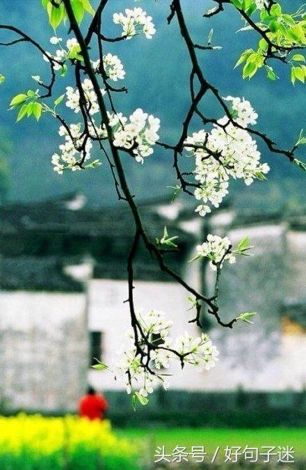 20条经典霸气的古风句子,你最爱哪句?