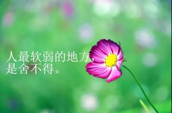 2021最新版生活感悟经典句子,句句精湛,值得我们深思-句子橘 2021最新版生活感悟经典句子,句句精湛,值得我们深思-句子橘