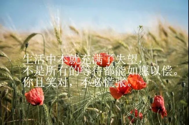 2021最新版生活感悟经典句子,句句精湛,值得我们深思-句子橘 2021最新版生活感悟经典句子,句句精湛,值得我们深思-句子橘