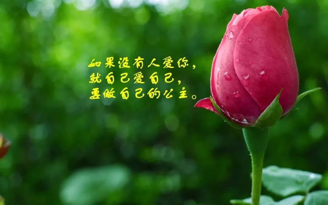 致自己往后余生的句子,非常入心的微信句子-句子橘 致自己往后余生的句子,非常入心的微信句子-句子橘