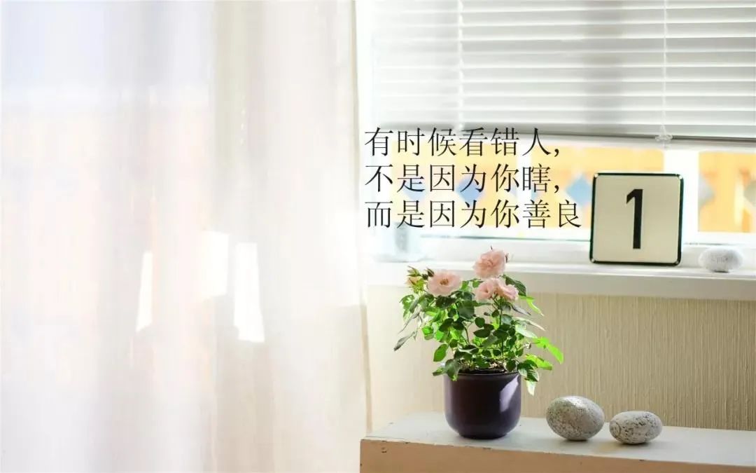 致自己往后余生的句子,非常入心的微信句子-句子橘 致自己往后余生的句子,非常入心的微信句子-句子橘