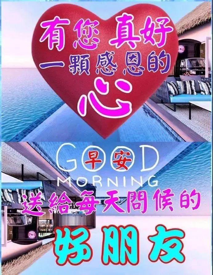 周末清晨早上好问候语精美句子早上好图片表情大全-句子橘