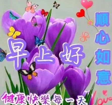 周末清晨早上好问候语精美句子早上好图片表情大全-句子橘