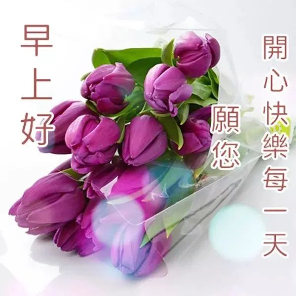 周末清晨早上好问候语精美句子早上好图片表情大全-句子橘