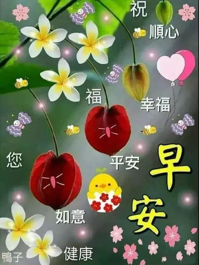 周末清晨早上好问候语精美句子早上好图片表情大全-句子橘