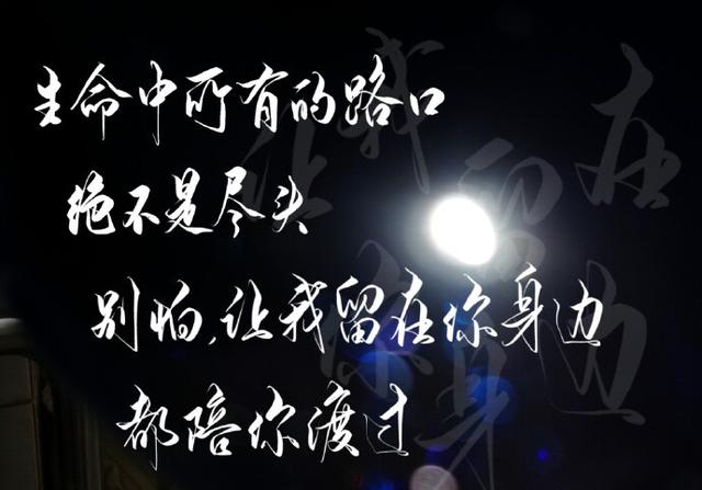 我喝过很烈的酒,也放过不该放的手,从前不会回头,往后不会将就