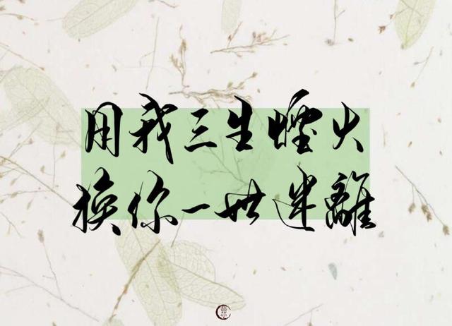 我喝过很烈的酒,也放过不该放的手,从前不会回头,往后不会将就