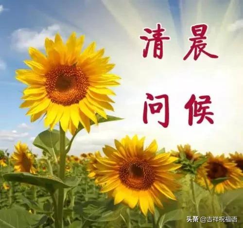 幸福是一种感受,处境不同,追求不同,早安