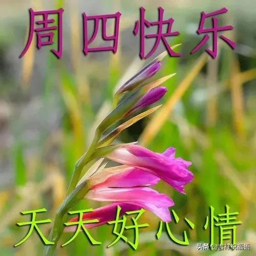 幸福是一种感受,处境不同,追求不同,早安