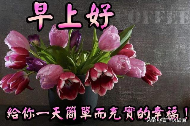 幸福是一种感受,处境不同,追求不同,早安