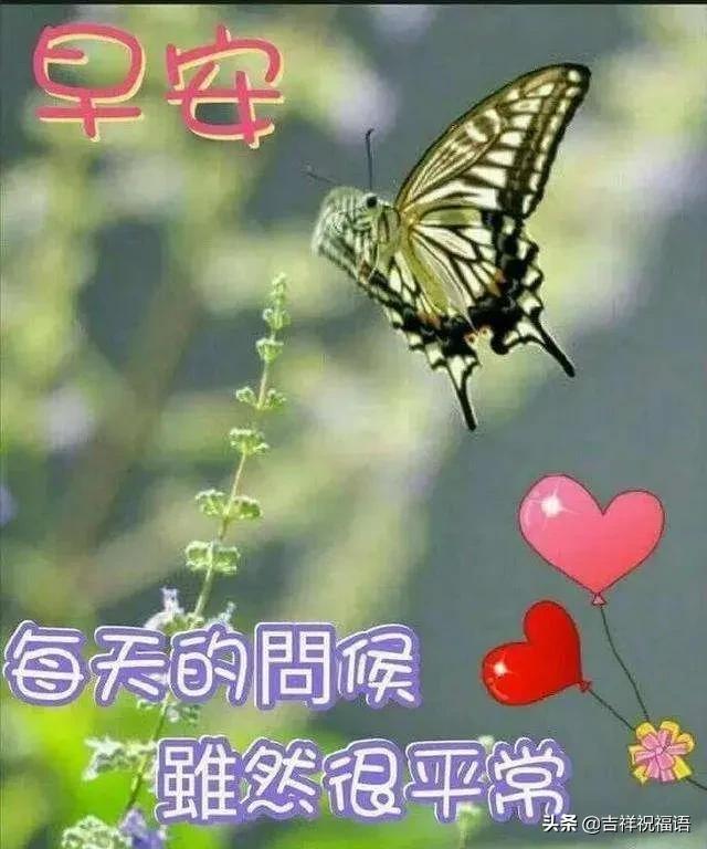 幸福是一种感受,处境不同,追求不同,早安