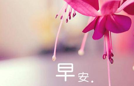 十句优美祝福语,希望你在一天的生活幸福美满