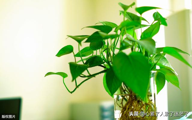 最新人生感悟的经典好句子,幸福就是一种感觉