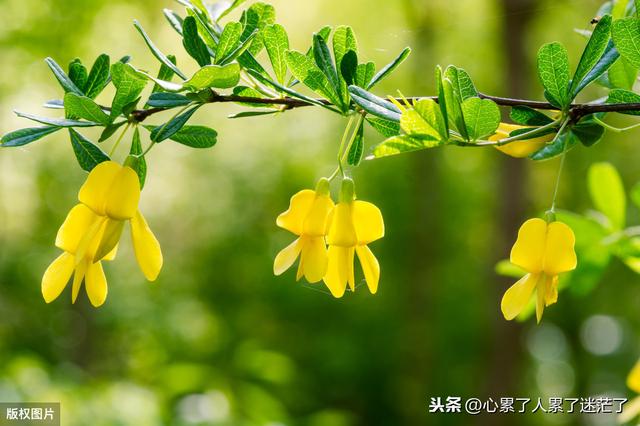 最新人生感悟的经典好句子,幸福就是一种感觉