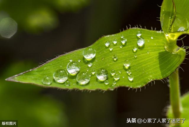 最新人生感悟的经典好句子,幸福就是一种感觉
