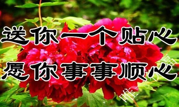 11月21（要爱你）我送给你一生一世的好姻缘祝福，祝你幸福一生！