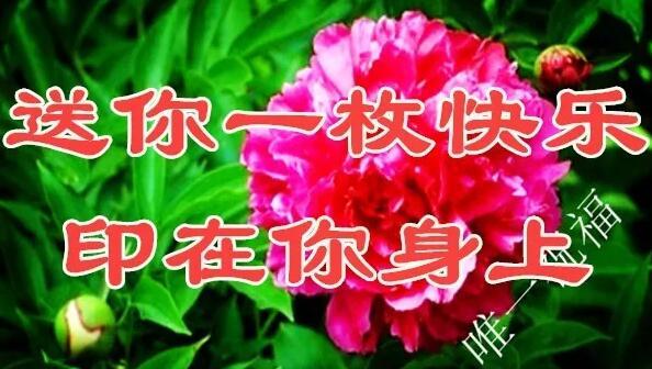 11月21（要爱你）我送给你一生一世的好姻缘祝福，祝你幸福一生！
