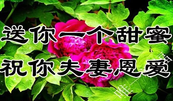 11月21（要爱你）我送给你一生一世的好姻缘祝福，祝你幸福一生！