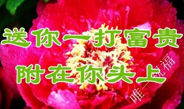 11月21（要爱你）我送给你一生一世的好姻缘祝福，祝你幸福一生！