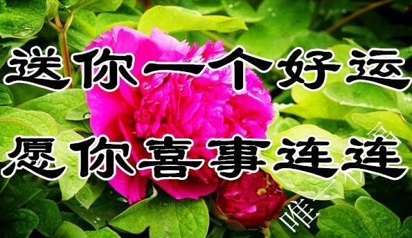 11月21（要爱你）我送给你一生一世的好姻缘祝福，祝你幸福一生！