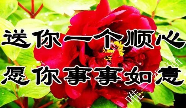 11月21（要爱你）我送给你一生一世的好姻缘祝福，祝你幸福一生！