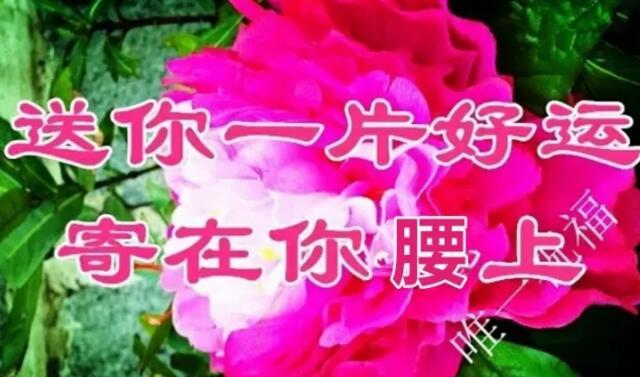11月21（要爱你）我送给你一生一世的好姻缘祝福，祝你幸福一生！