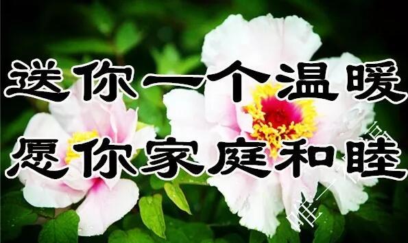 11月21（要爱你）我送给你一生一世的好姻缘祝福，祝你幸福一生！