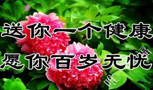 11月21（要爱你）我送给你一生一世的好姻缘祝福，祝你幸福一生！