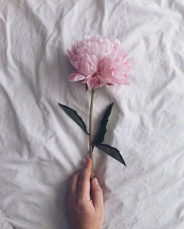 简短感人的表白情话,很甜很撩,没有之一!-句子橘 简短感人的表白情话,很甜很撩,没有之一!-句子橘