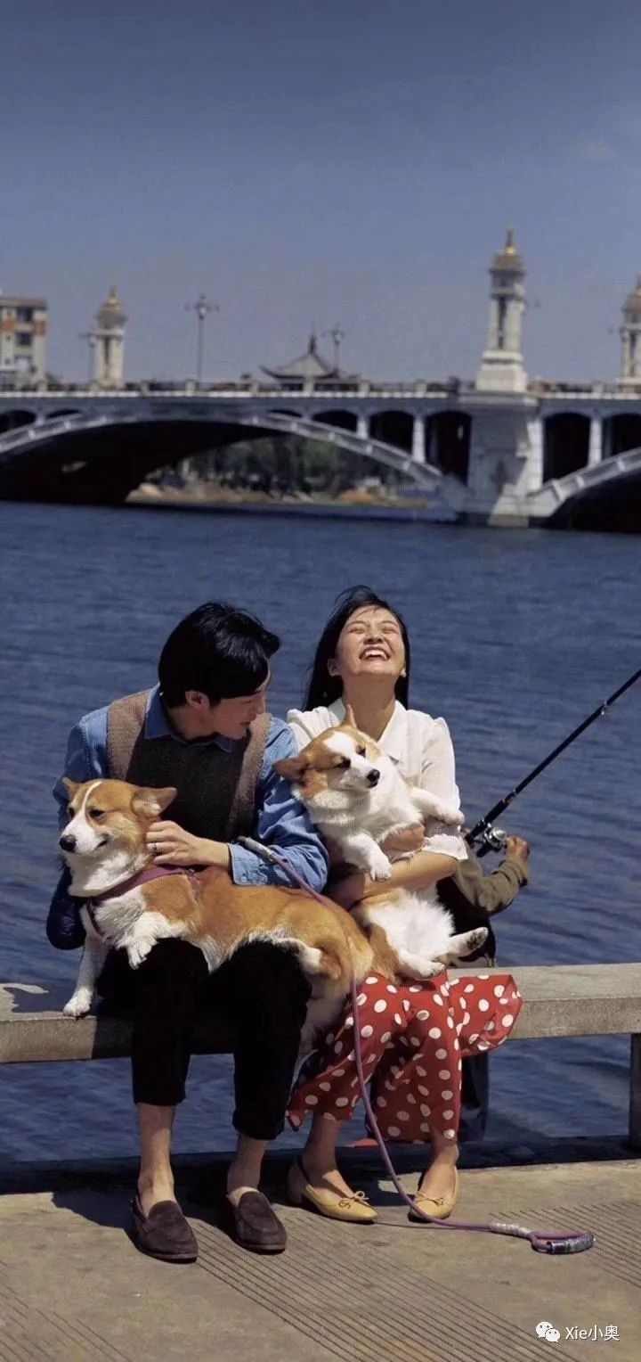 有没有那种暗戳戳表白的句子？-句子橘