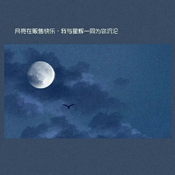 那些深情告白的简短情话句子-句子橘 那些深情告白的简短情话句子-句子橘