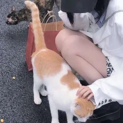 “给女孩子准备的愚人节表白文案”-句子橘 “给女孩子准备的愚人节表白文案”-句子橘