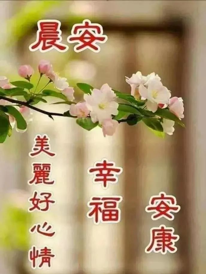 朋友圈早安最漂亮动态图片带字图片最新版表白的短信句子-句子橘