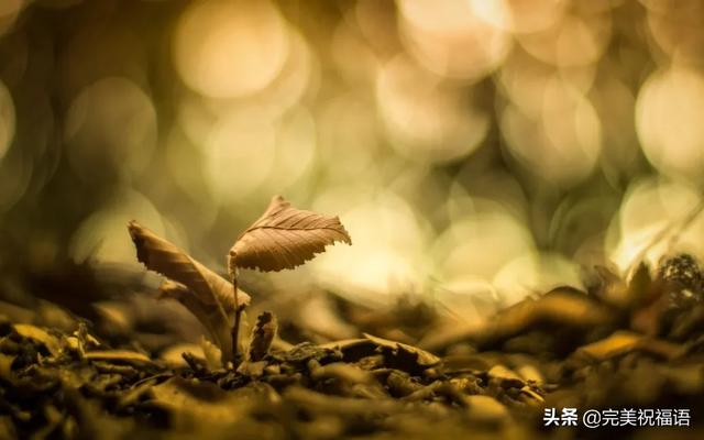 伤感句子说说心情 伤感句子说说心情
