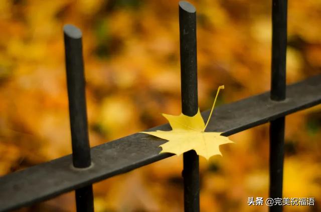 伤感句子说说心情 伤感句子说说心情