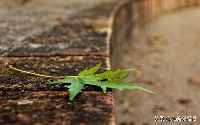 伤感句子说说心情 伤感句子说说心情