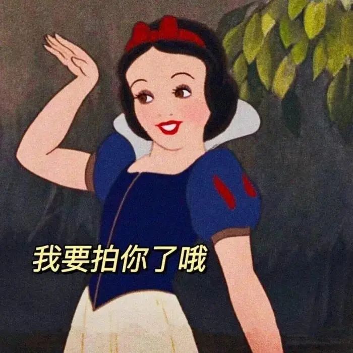 表白句子，暖心情话-句子橘
