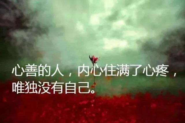 感悟人生哲理句子父母_(人生感悟的句子 励志)