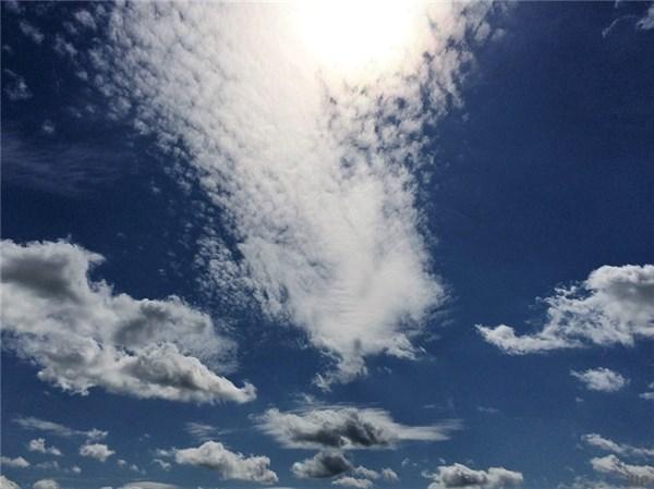 伤感句子短句 伤感句子短句