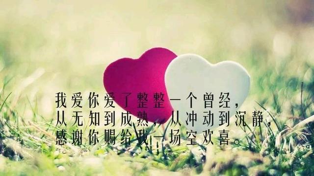 失恋决绝的洒脱句子，终于我与风俱净，与你再无瓜葛