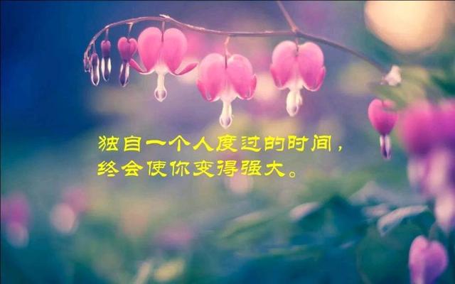 失恋决绝的洒脱句子，终于我与风俱净，与你再无瓜葛