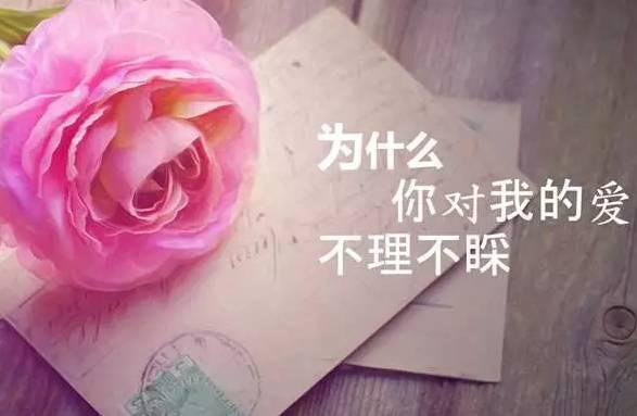 失恋决绝的洒脱句子，终于我与风俱净，与你再无瓜葛